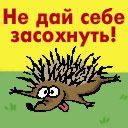 Илья