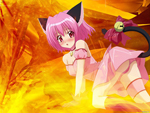 mesuki