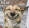 Евгений